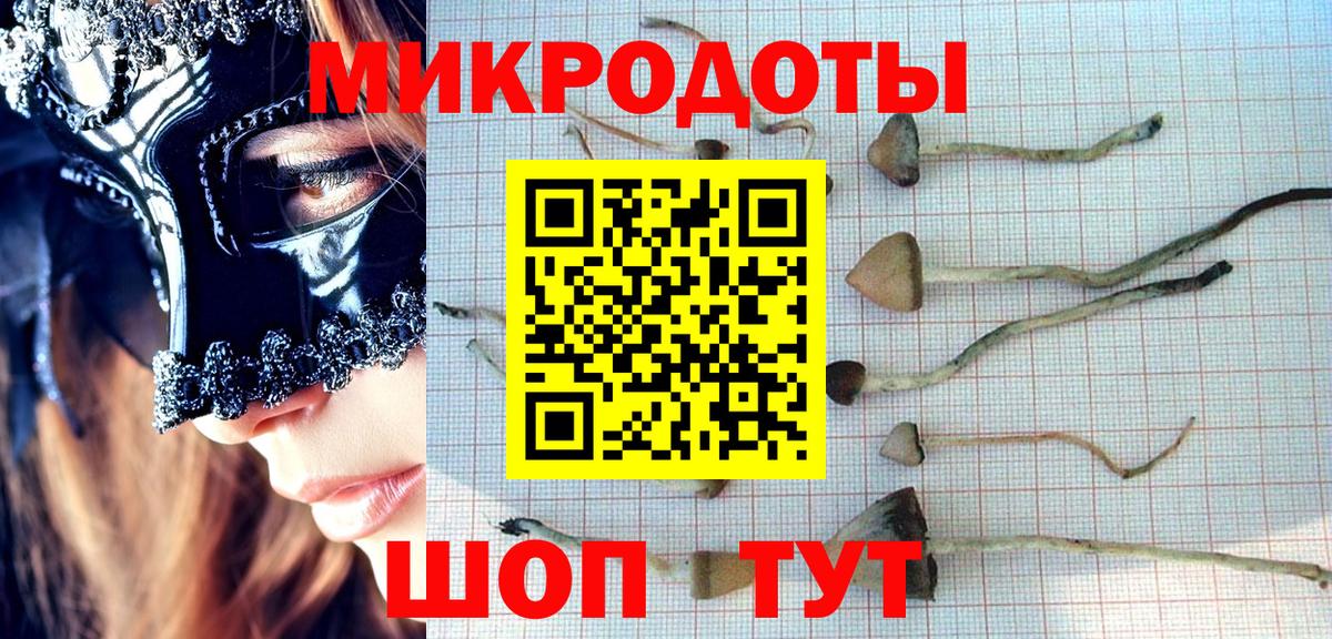 Псилоцибиновые грибы MAGIC MUSHROOMS  Вход с VPN  хочу   Галлюциногенные грибы MAGIC MUSHROOMS  Конаково 