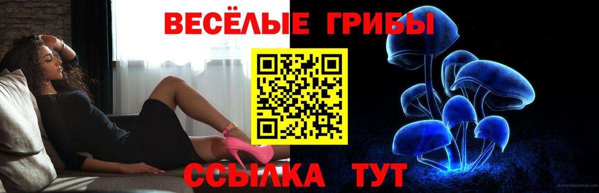 Галлюциногенные грибы GOLDEN TEACHER Конаково